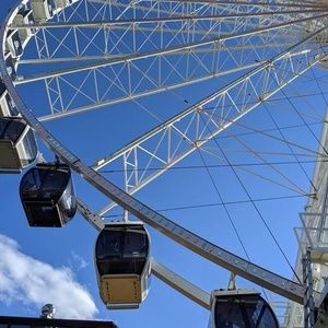 Meet your Posher, Audrey